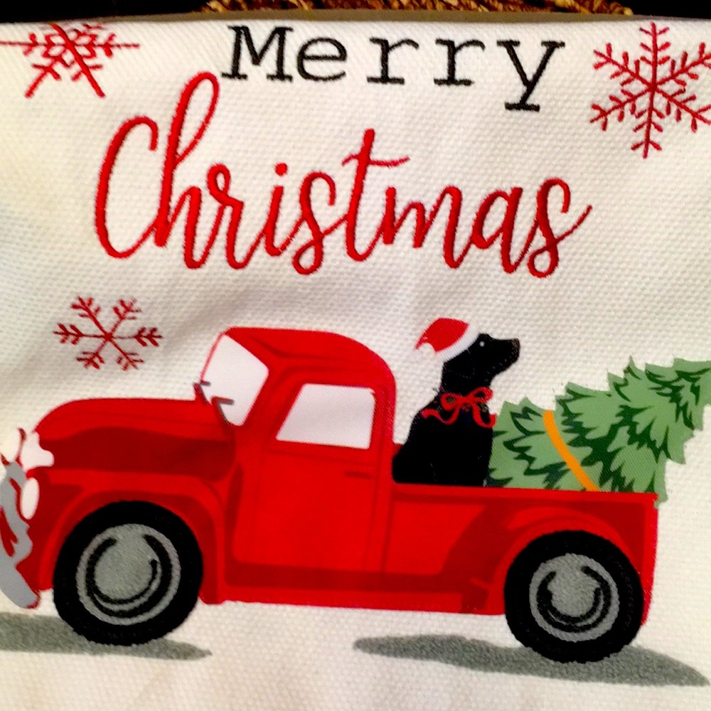Christmas theme red car with a dog 🐶